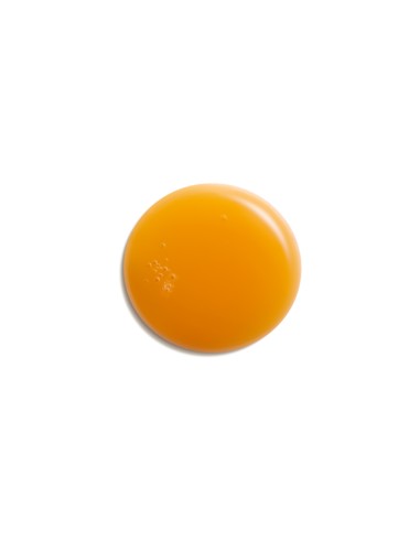 Stabilizing Anti-Aging Concentrate