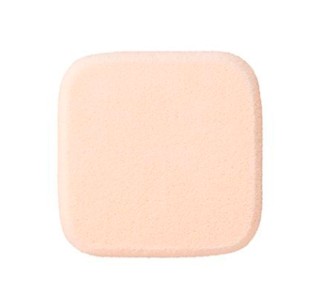 Aq Makeup Sponge